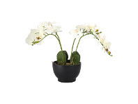 Kmart Large Artificial Orchid offer