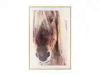 Kmart Horse Framed Canvas offer