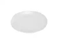 Form Dinner Plate