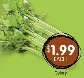 Spudshed Celery offer