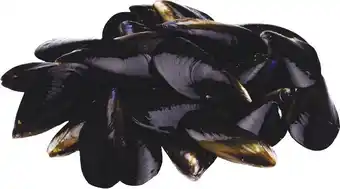 Woolworths Fresh Jervis Bay Mussels offer