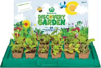 Woolworths Discovery Garden Collector Tray~ offer