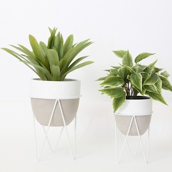 Pillow Talk Carlo Cement Planter with Stand by Aspire offer