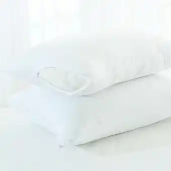 Pillow Talk Jersey Knit Cotton Pillow Protectors by Two Islands offer
