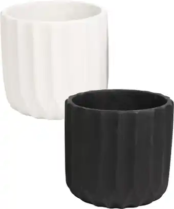 Coles 5 Seasons 16cm Pot offer