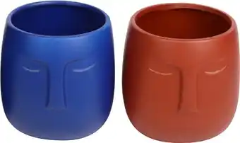 Coles 5 Seasons 11cm Face Pot offer