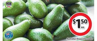 Coles Australian Shepard Avocados offer