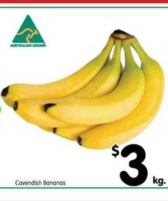 Cavendish Bananas