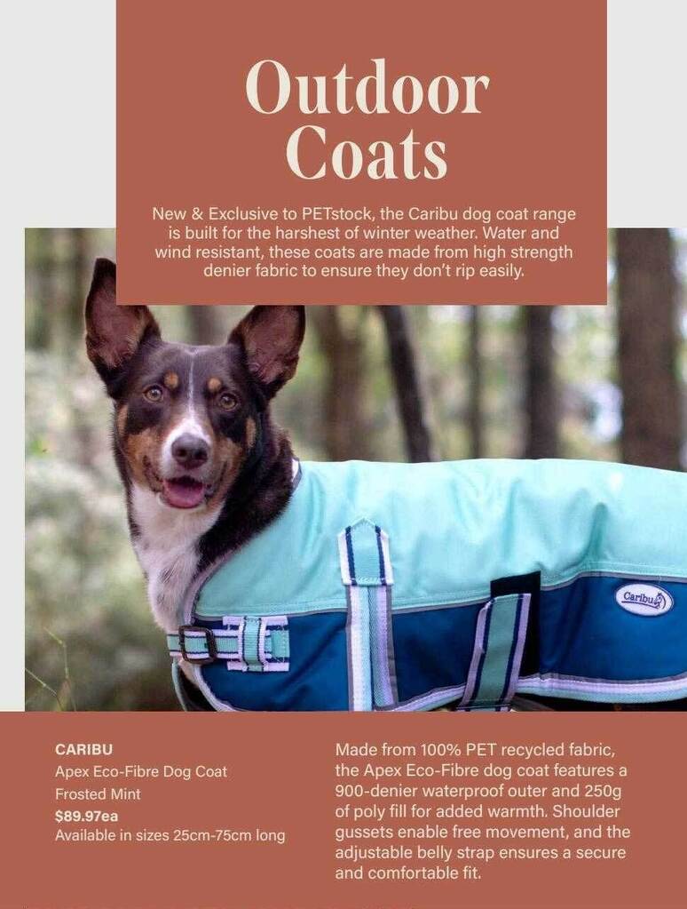 Petstock hotsell dog coats