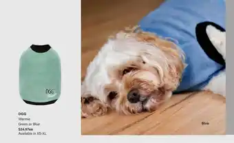 Pet stock Dgg Warmie Green Or Blue offer