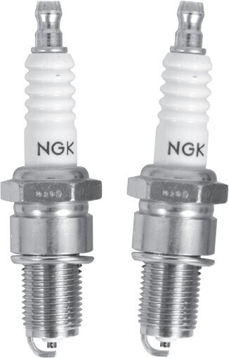 Autobarn NGK Spark Plugs offer