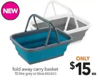 Cheap as Chips Fold Away Carry Basket 10 Litre offer