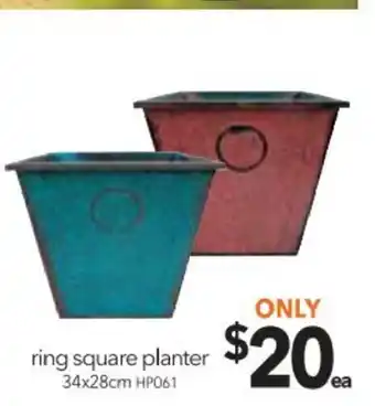 Cheap as Chips Ring Square Planter 34x28cm offer