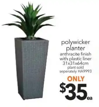 Cheap as Chips Polywicker Planter 31x31x64cm offer