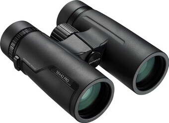 Camera House Olympus 10x42 PRO Binoculars offer
