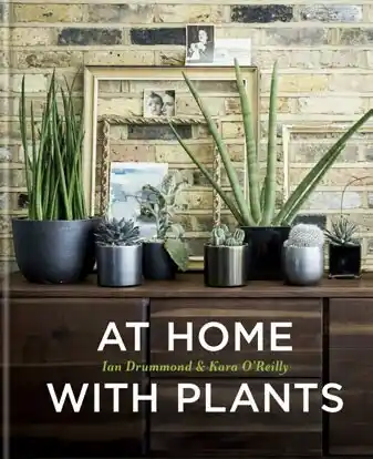 BIG W At Home with Plants offer