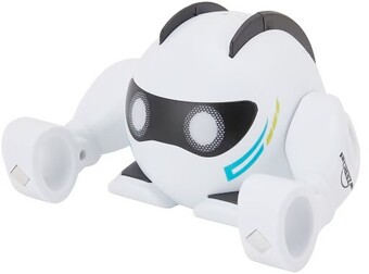 Rolling Robot