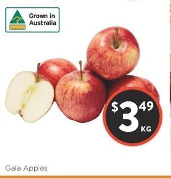 Foodworks Gala Apples offer