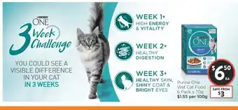 Foodworks Purina One Cat Food 6 Pack x 70g offer