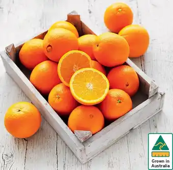 Australian Navel Oranges