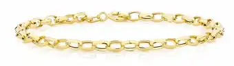19cm (7.5") Belcher Bracelet in 10kt Yellow Gold