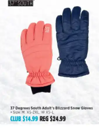 37 Degrees South Adult's Blizzard Snow Gloves