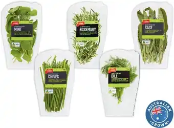 Coles Coles Australian Mint 15g, Rosemary 10g, Sage 10g, Chives 10g or Dill 10g Punnet offer