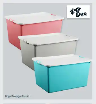 The Reject Shop Bright Storage Box 53L offer