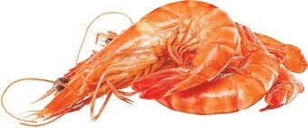 Woolworths Fresh Large Cooked Australian Tiger Prawns offer