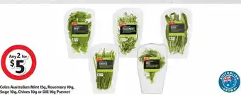 Coles Coles Australian Mint Rosemary Sage Chives Or Dill Punnet offer