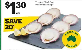 Thawed Shark Bay Half Shell Scallops