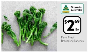 Foodworks Farm fresh broccolini bunches offer