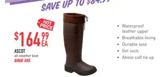 Ascot all weather boot