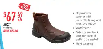 Pet stock Ascot yard boot offer