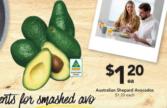 Drakes Australian shepard avocados offer