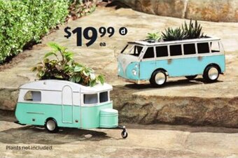 ALDI Decorative Planters offer