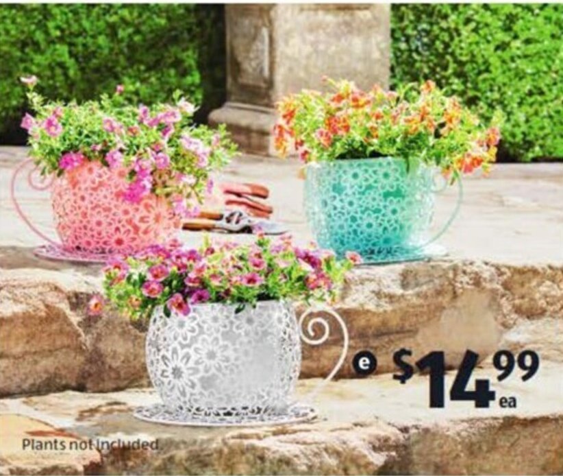 Tea Cup Planter offer at ALDI