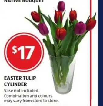 ALDI Easter Tulip Cylinder offer
