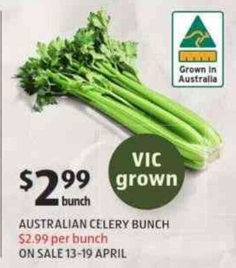 Australian Celery Bunch