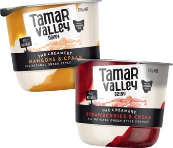 IGA Tamar Valley The Creamery Greek Style Yoghurt 170g Selected Varieties offer