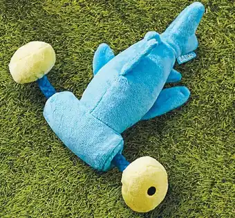 Hammerin Hank the Shark Dog Toy