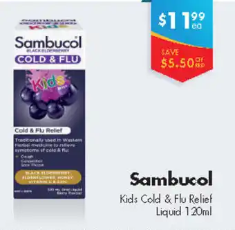 Chempro Sambucol Kids Cold & Flu Relief Liquid 120ml offer