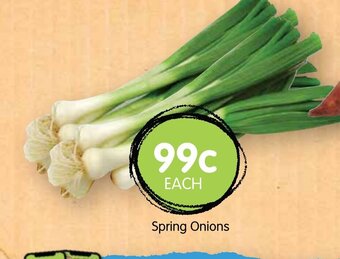 Spudshed Spring Onions offer