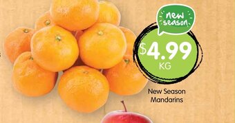 Spudshed New Season Mandarins offer