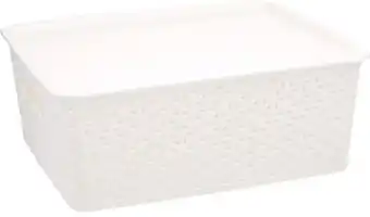 BIG W House & Home 11L Plastic Rattan Storage Container - White offer