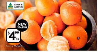 Foodworks Imperial Mandarins offer