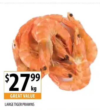 Large Tiger Prawns
