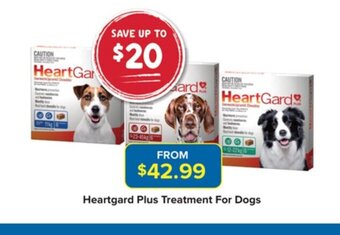 Heartgard Plus Treatment For Dogs