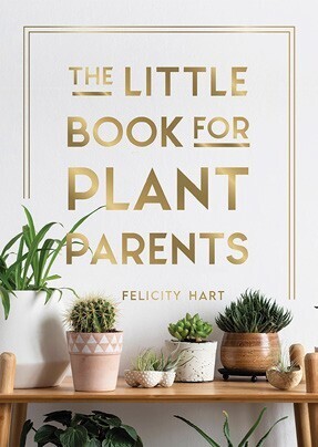 BIG W The Little Book for Plant Parents offer