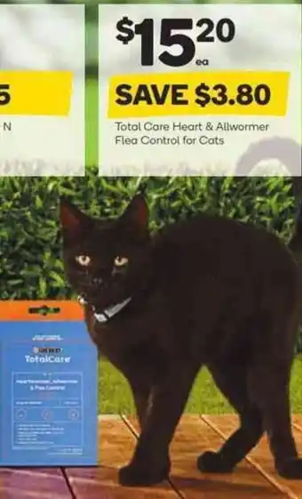 Woolworths Total Care Heart & Allwormer Flea Control for Cats offer